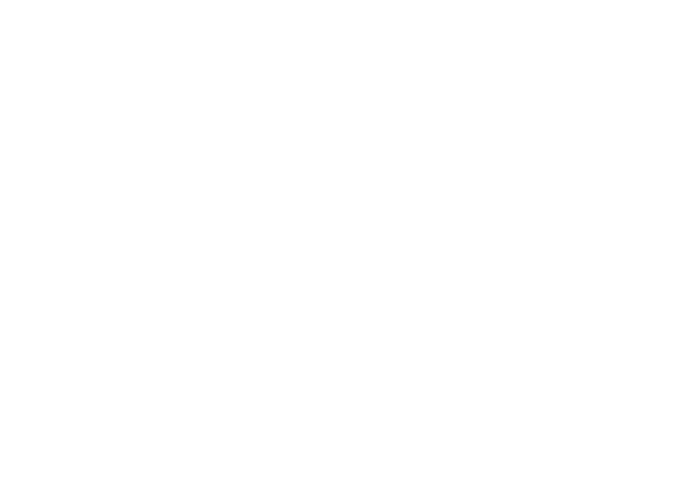 Alliev Renders